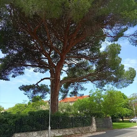 Apartments Ingrid Novigrad Istria Exterior foto