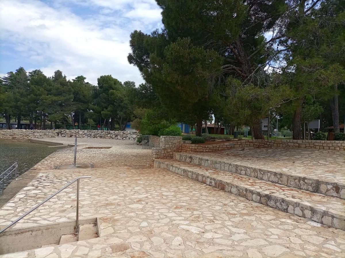 Ingrid * Novigrad Istria