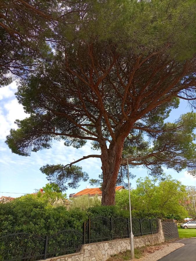 Ingrid * Novigrad Istria