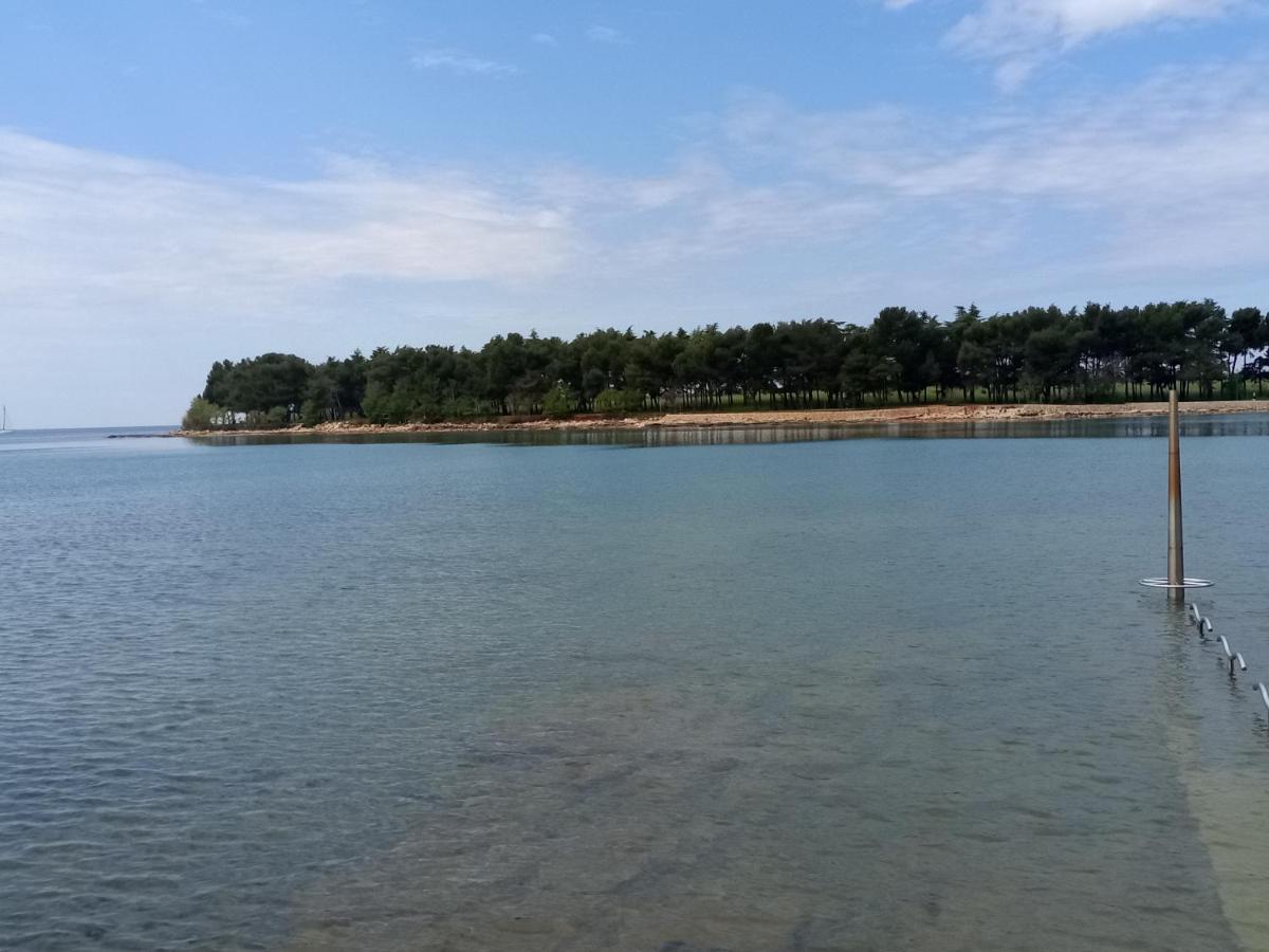 Apartment Ingrid Novigrad Istria