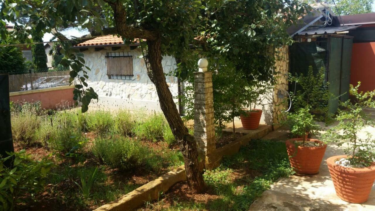 Ingrid Apartment